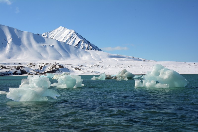 Svalbard. Foto: Marianne Johansen