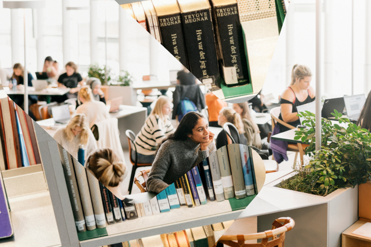 Bilde av studenter som sitter å jobber på et bibliotek